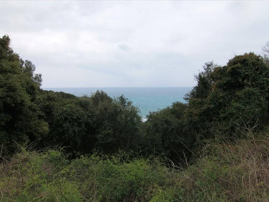 Plot - Grekodom 30793|469573