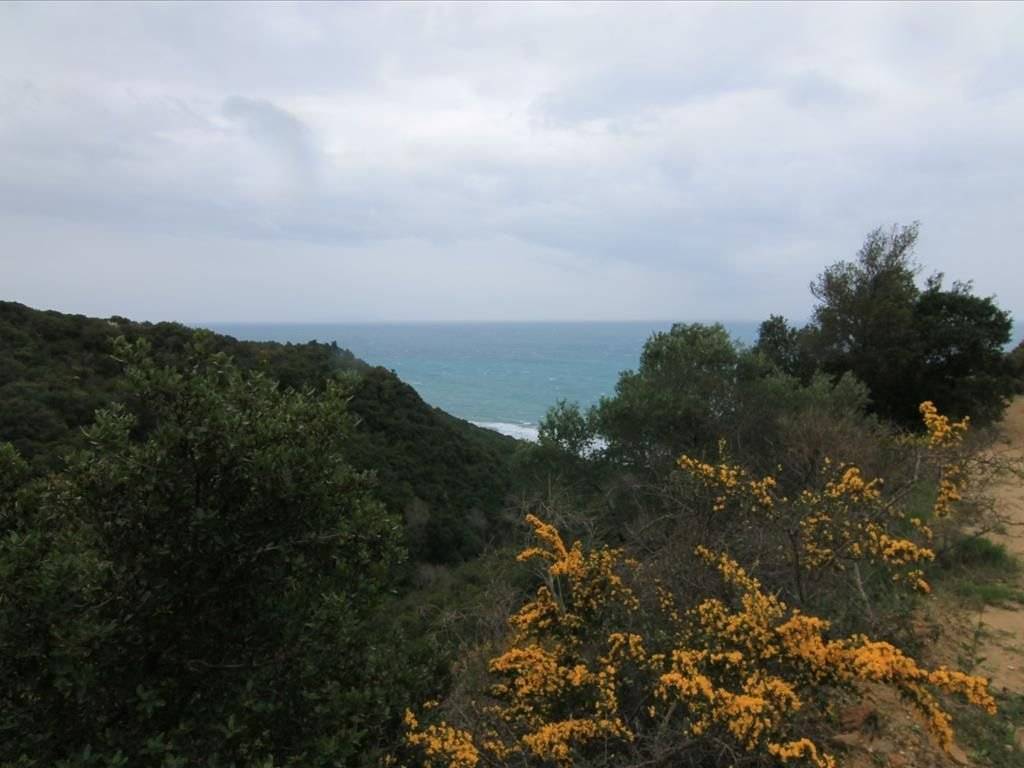 Plot - Grekodom 30793|469574