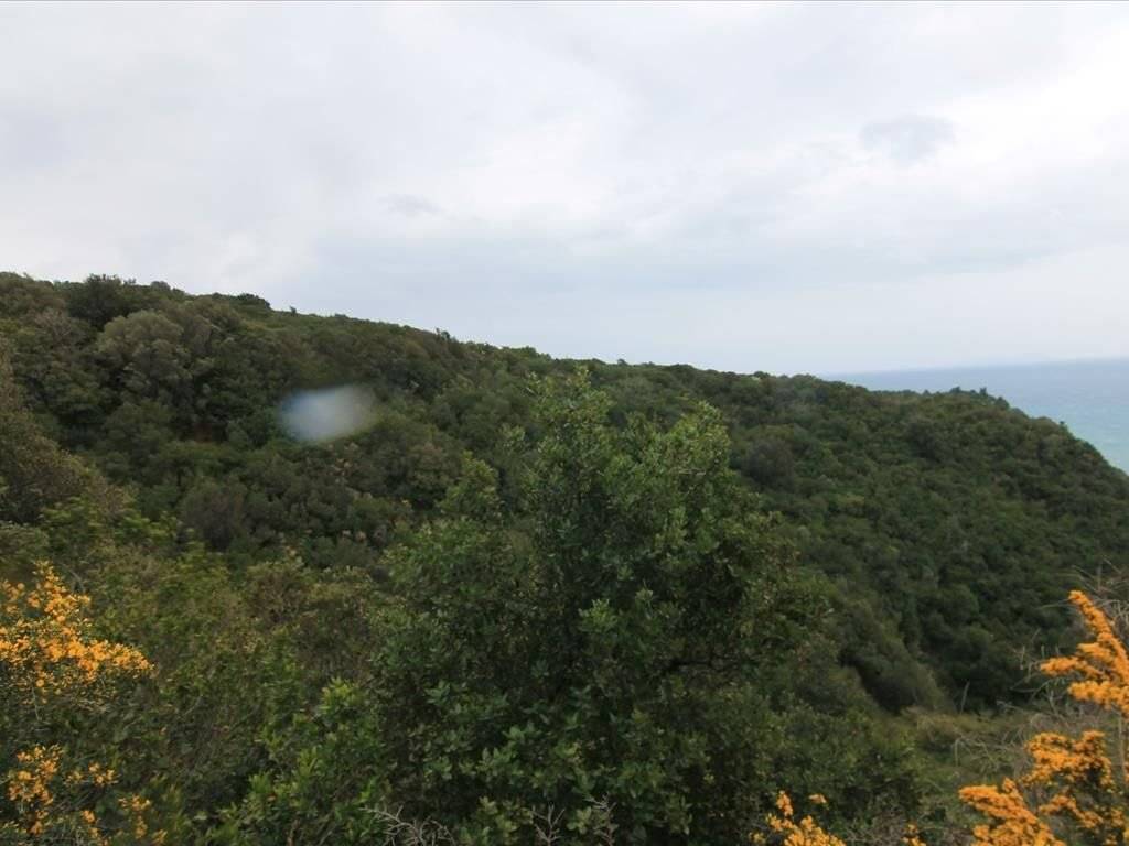 Plot - Grekodom 30793|469576