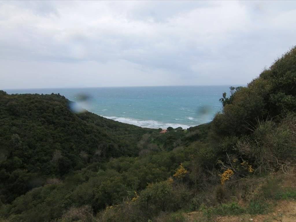 Plot - Grekodom 30793|469577