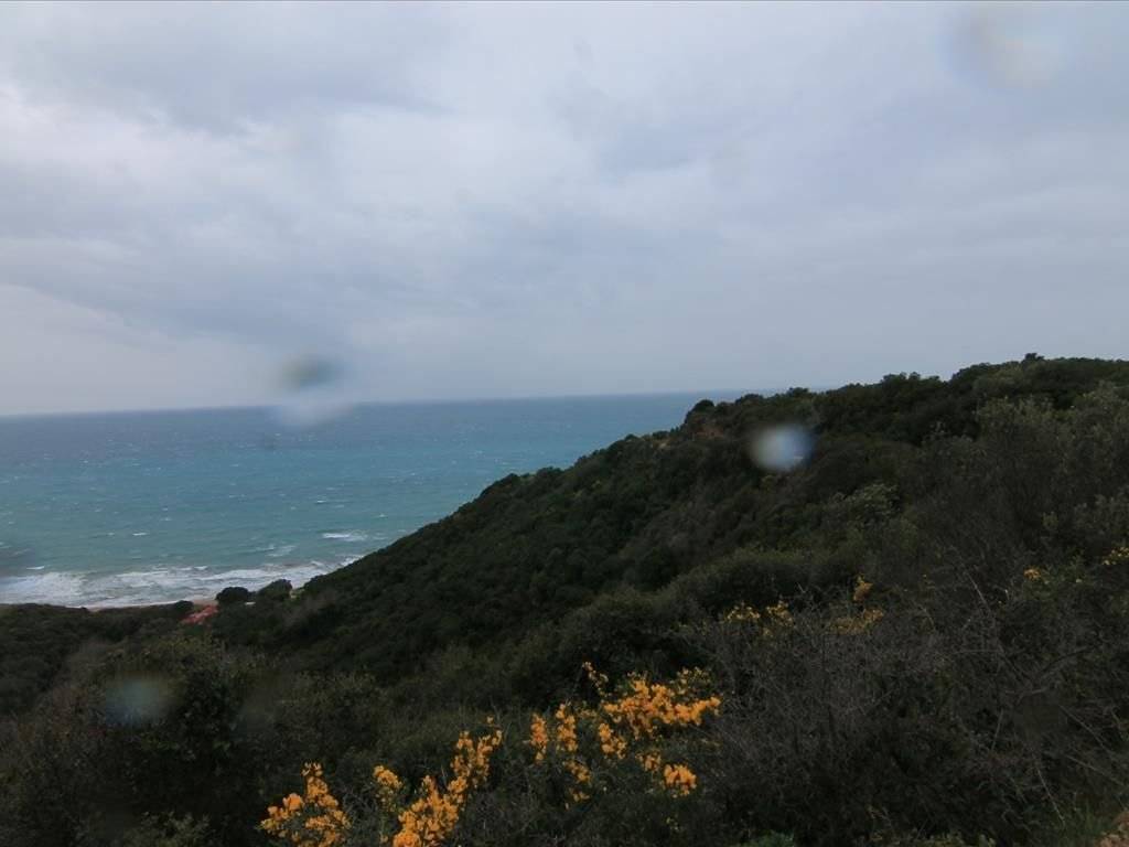 Plot - Grekodom 30793|469578