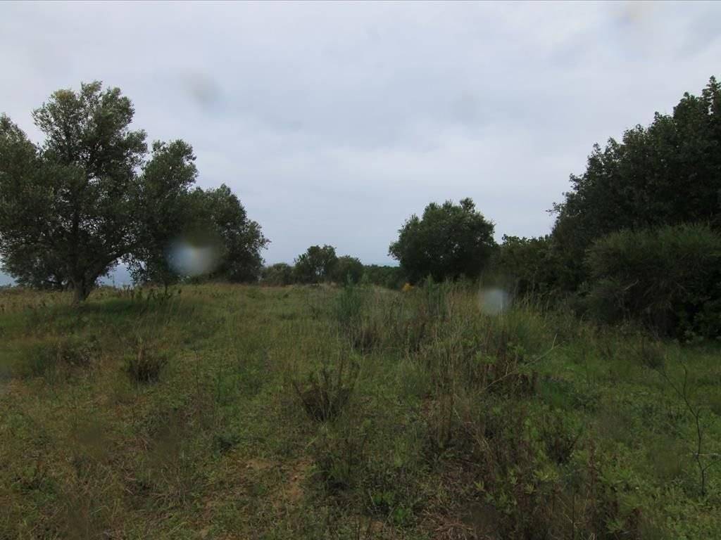 Plot - Grekodom 30793|469581