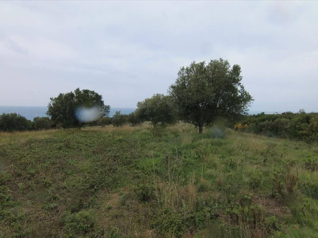 Plot - Grekodom 30793|469583