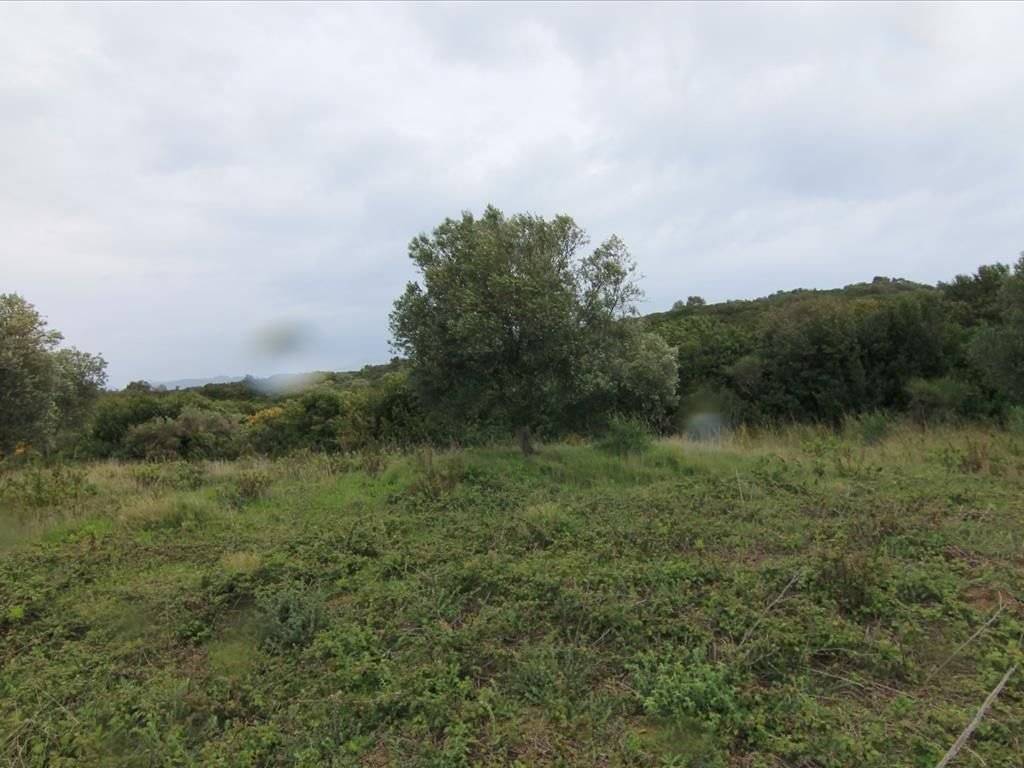 Plot - Grekodom 30793|469589