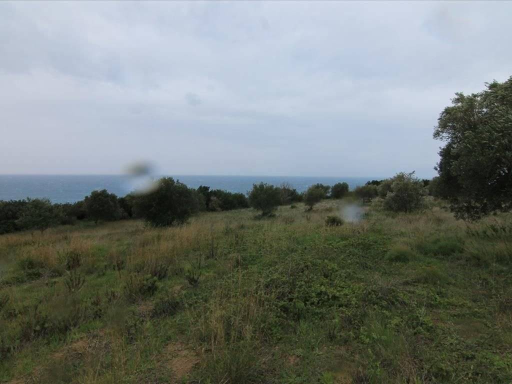 Plot - Grekodom 30793|469590