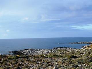 Plot - Grekodom 30225|462932