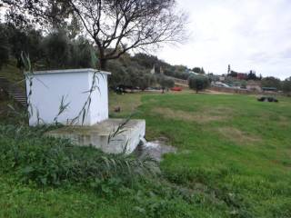 Plot - Grekodom 30092|461365