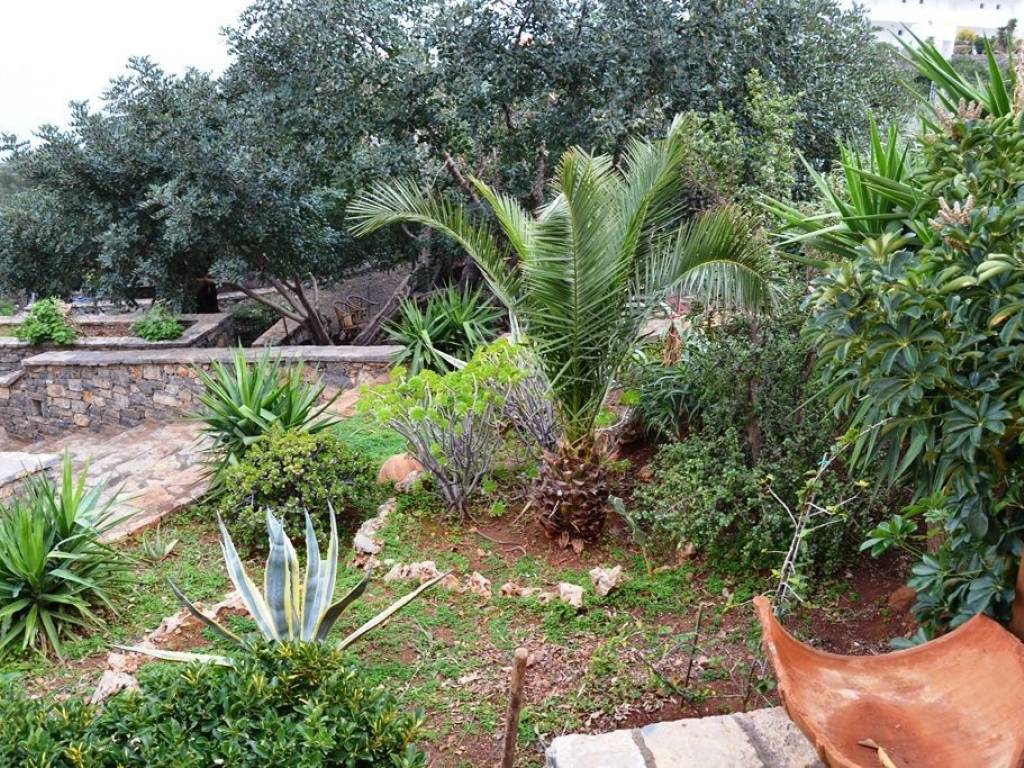 Other commercial - Grekodom 30188|462327