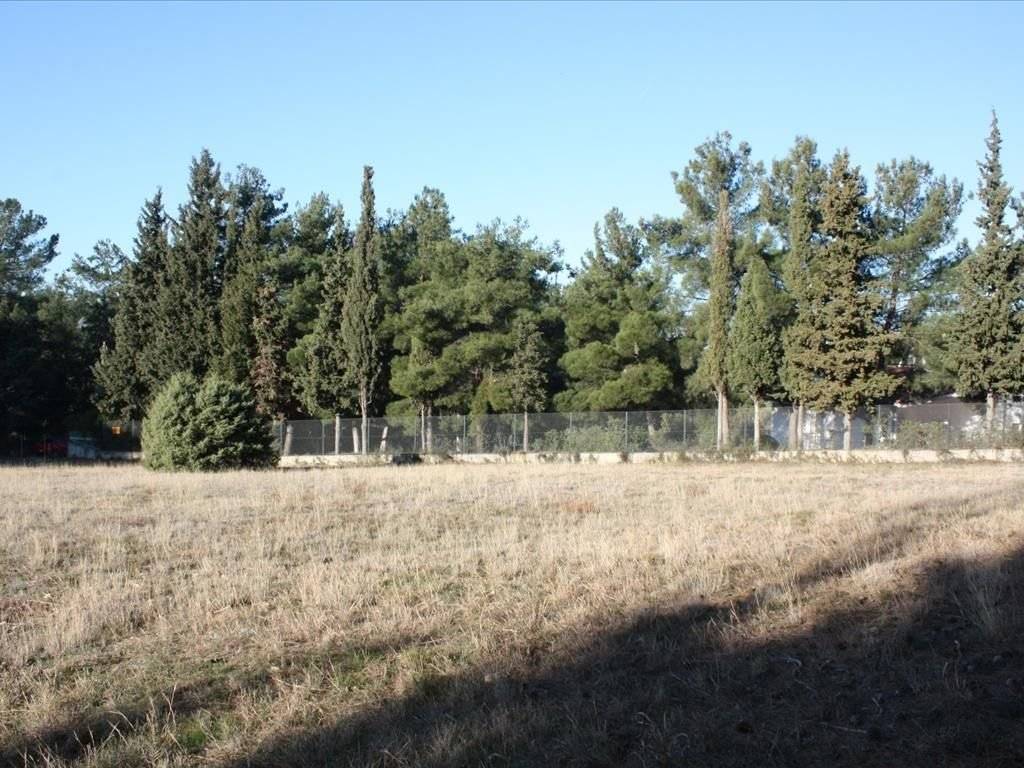 Plot - Grekodom 29754|454440