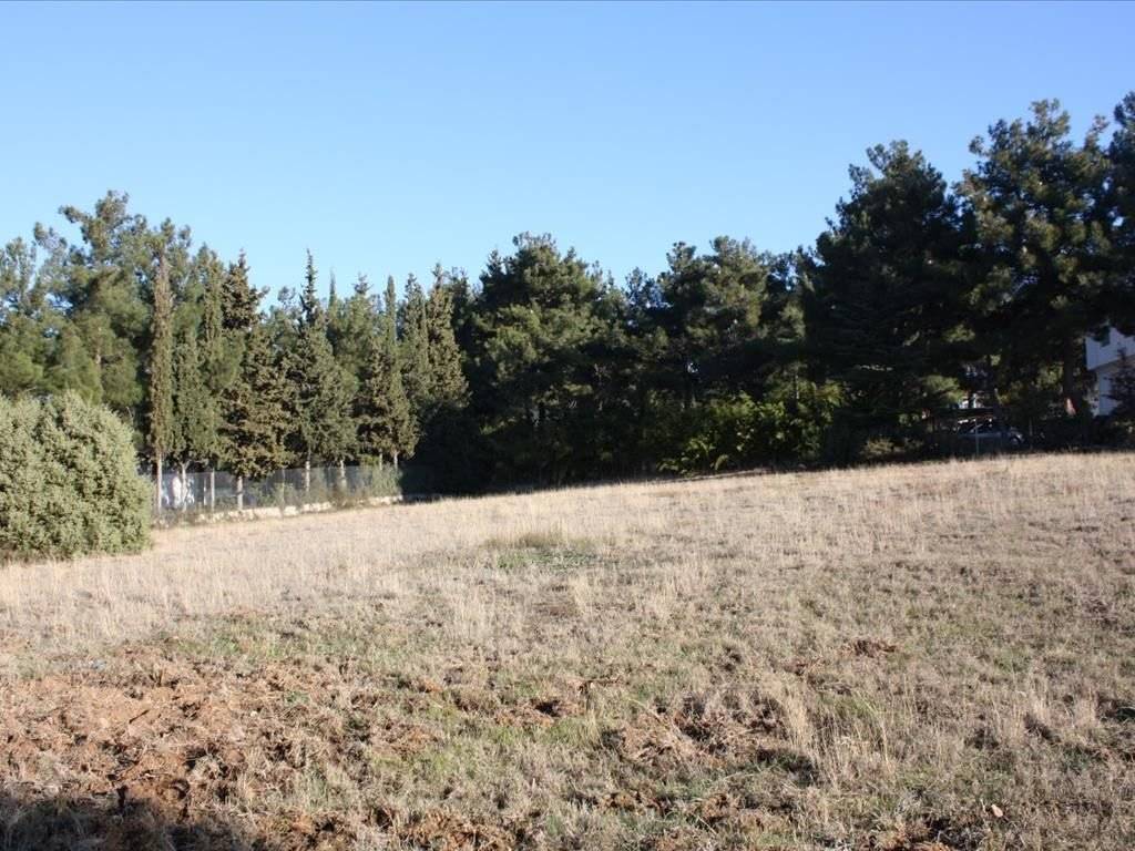 Plot - Grekodom 29754|454441