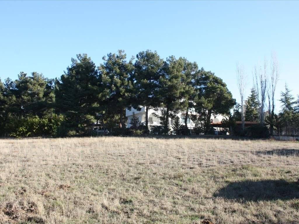 Plot - Grekodom 29754|454442