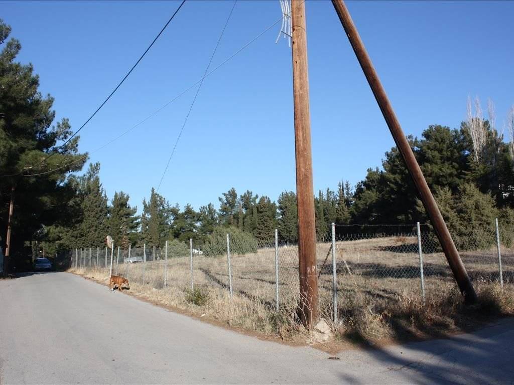 Plot - Grekodom 29754|454445