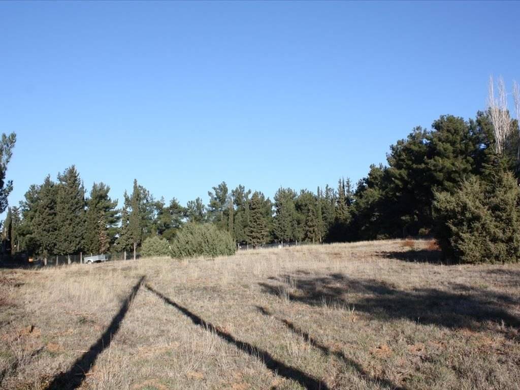 Plot - Grekodom 29754|454446