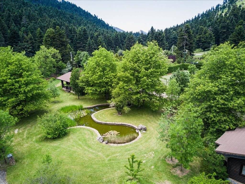 Hotel - Grekodom 29624|451362