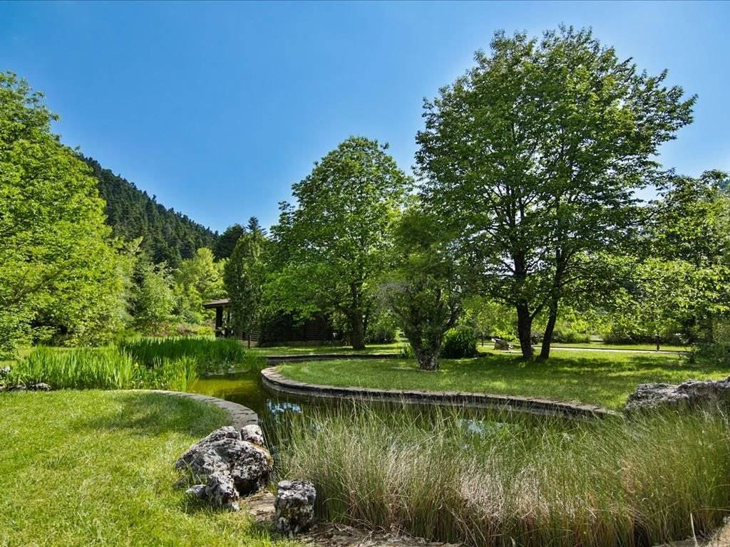 Hotel - Grekodom 29624|451363