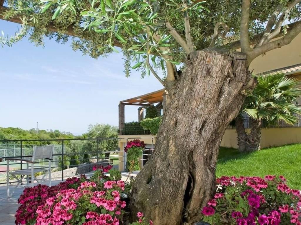 Villa - Grekodom 29252|443210