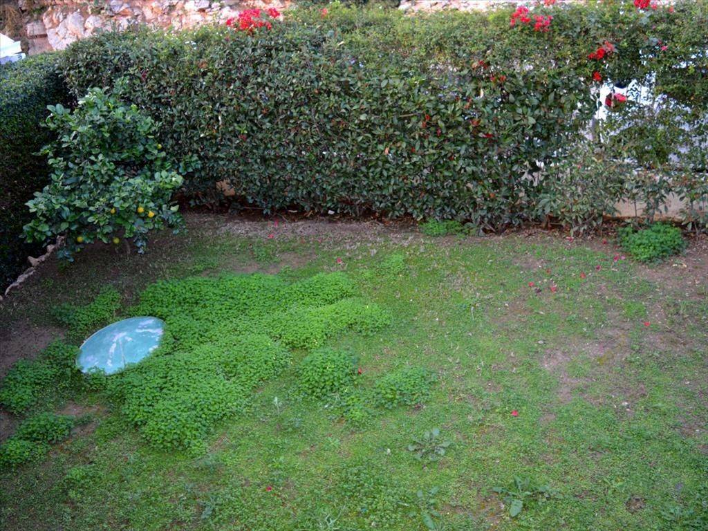 Maisonette - Grekodom 29231|442654