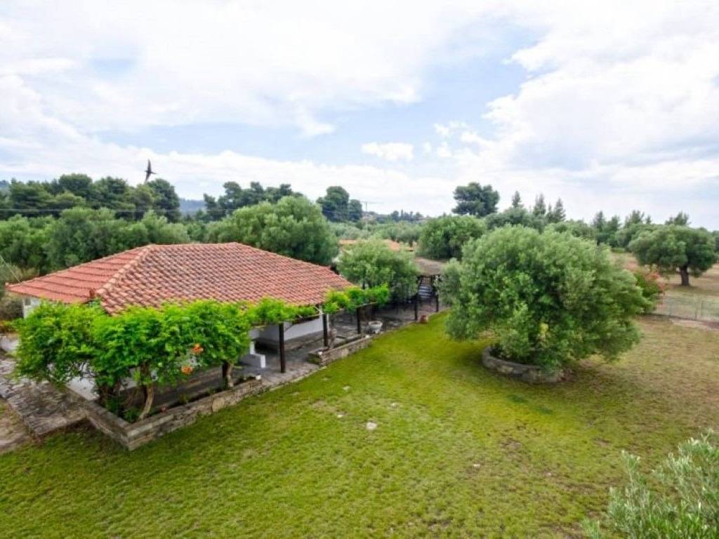 Hotel - Grekodom 28691|412238