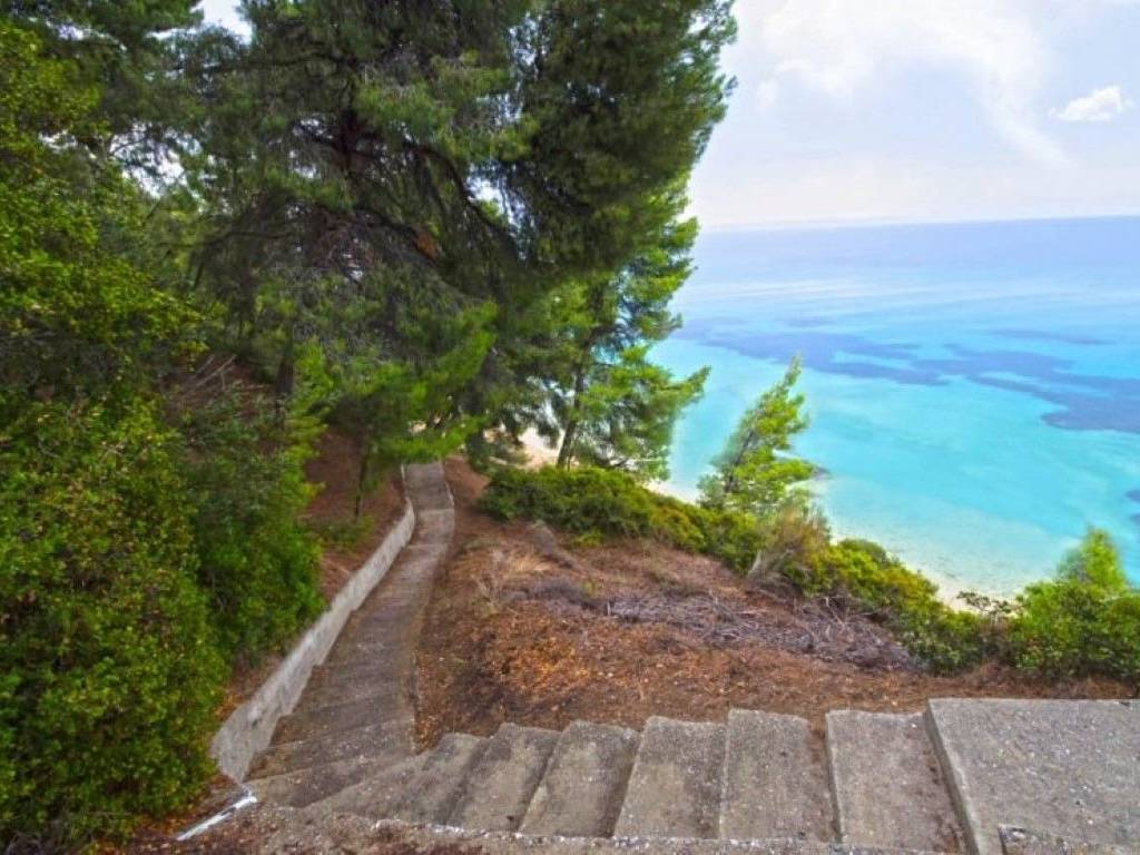 Hotel - Grekodom 28691|412243