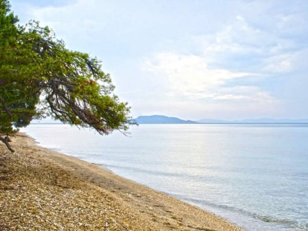 Hotel - Grekodom 28691|412244