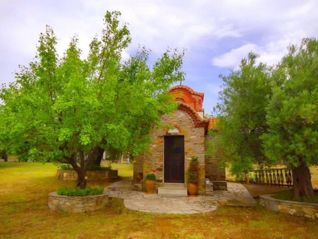 Hotel - Grekodom 28691|412245