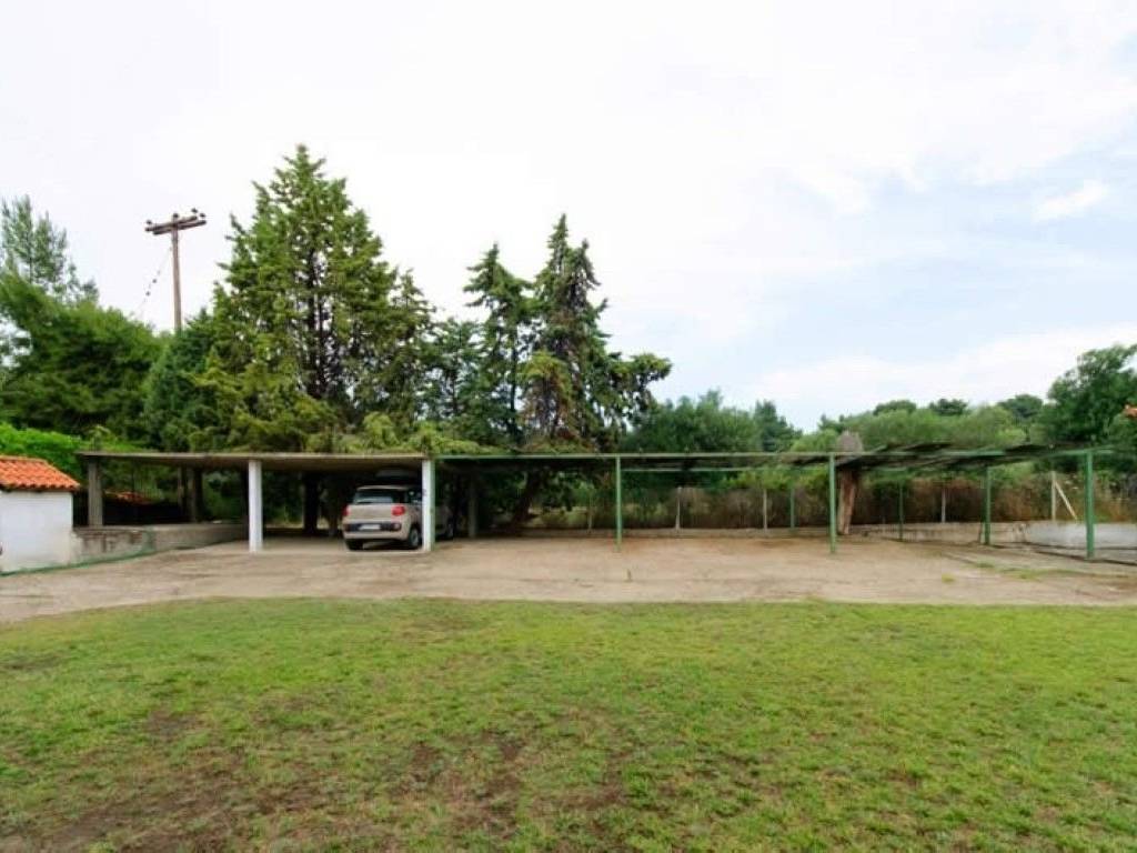 Hotel - Grekodom 28691|412253