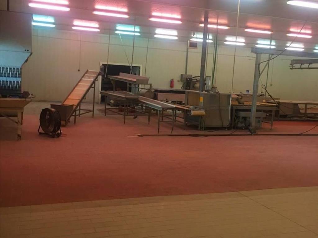 Other commercial - Grekodom 26983|372717