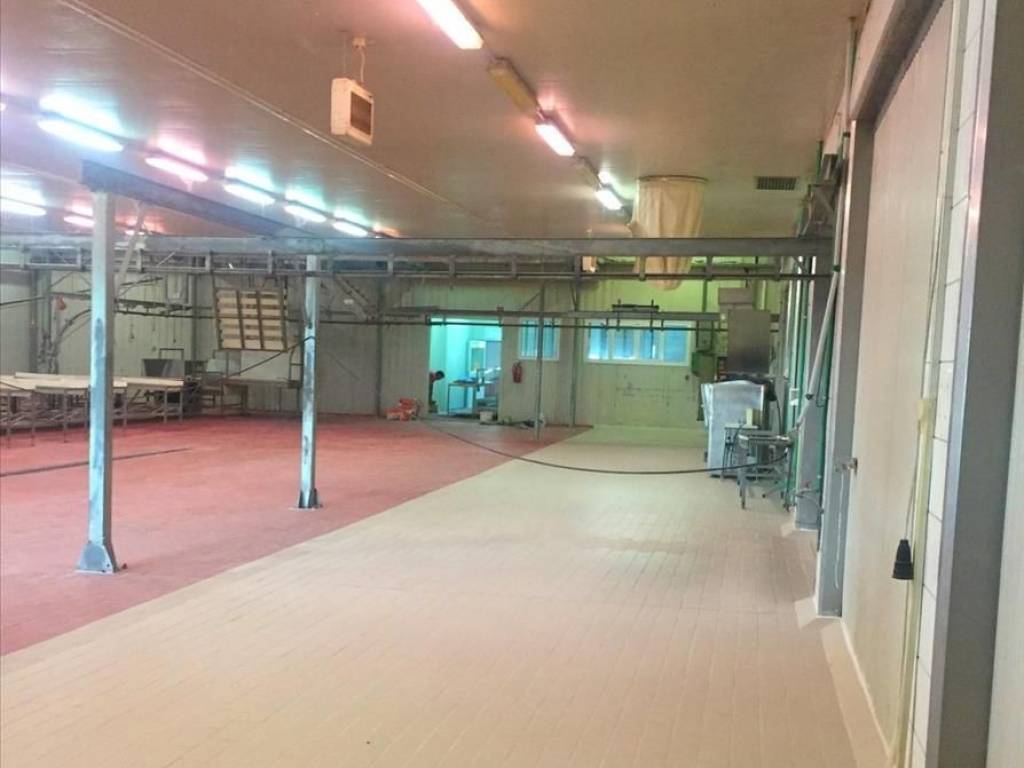 Other commercial - Grekodom 26983|372718