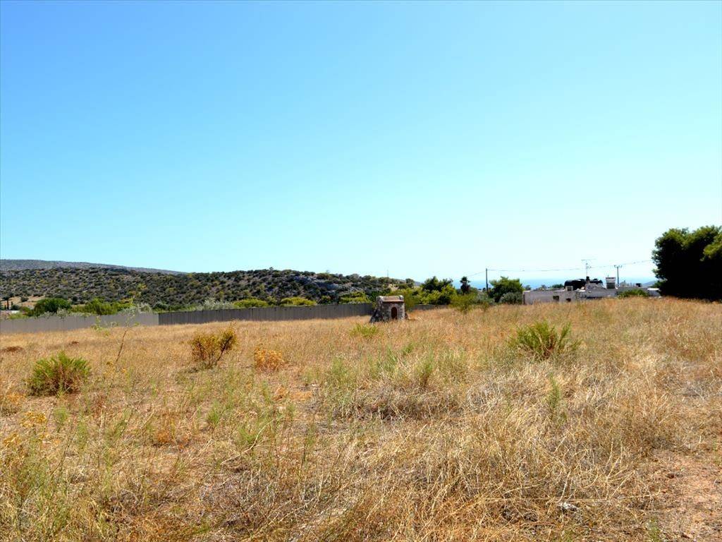 Detached - Grekodom 26234|348285