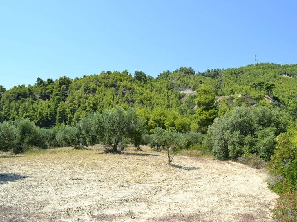 Plot - Grekodom 25936|341655