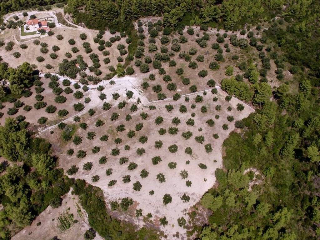 Plot - Grekodom 25936|341656