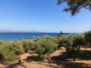 Plot - Grekodom 25748|339627