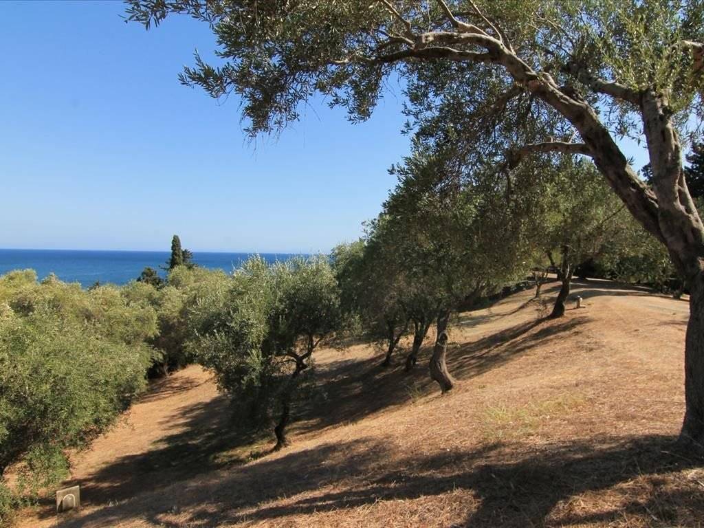 Plot - Grekodom 25748|339628