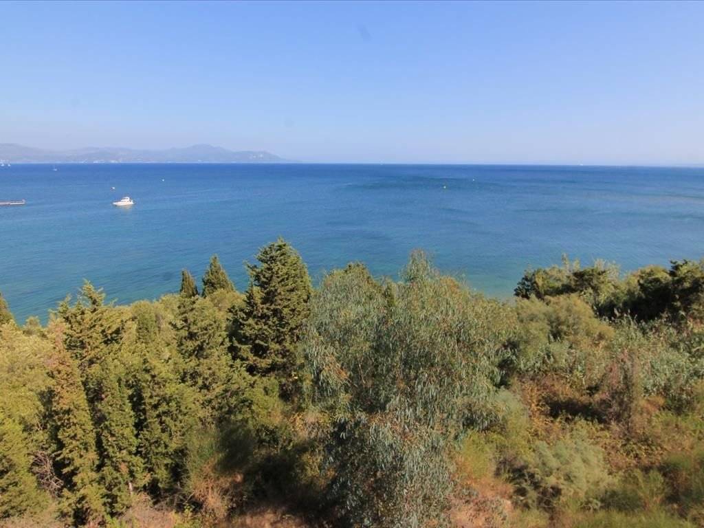 Plot - Grekodom 25748|339632