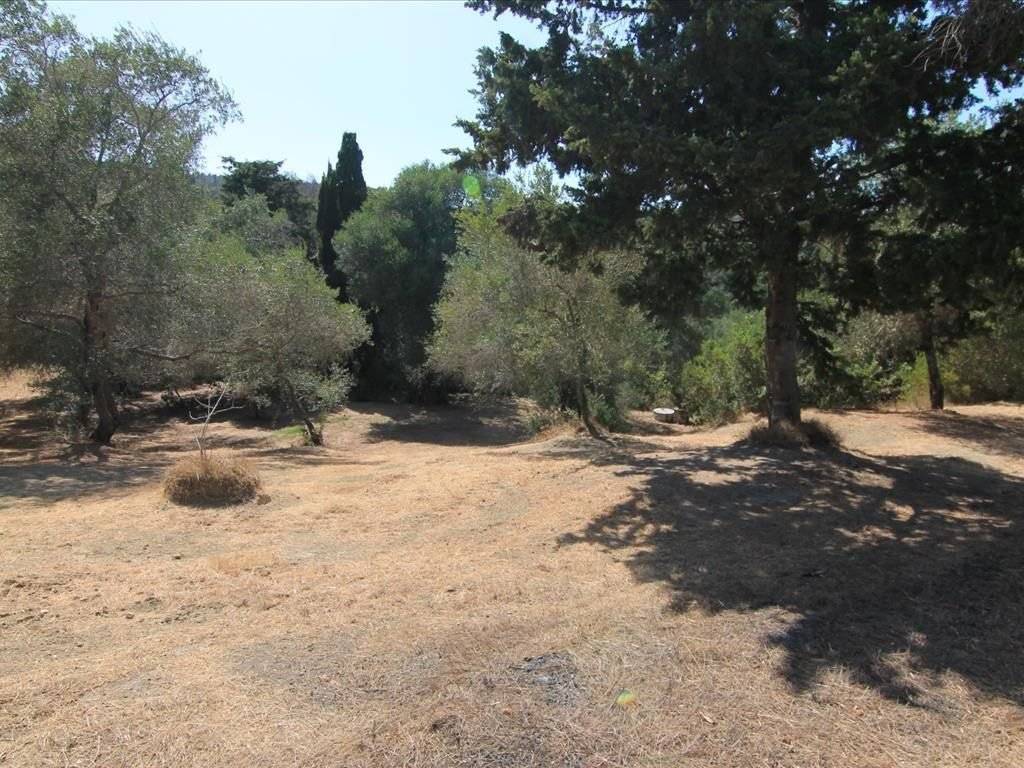 Plot - Grekodom 25748|339635