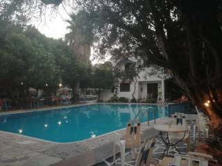 Hotel - Grekodom 25707|339450