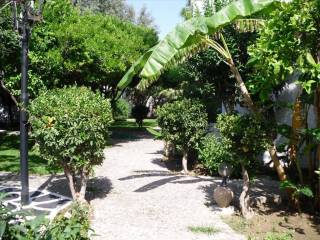 Hotel - Grekodom 25707|339436