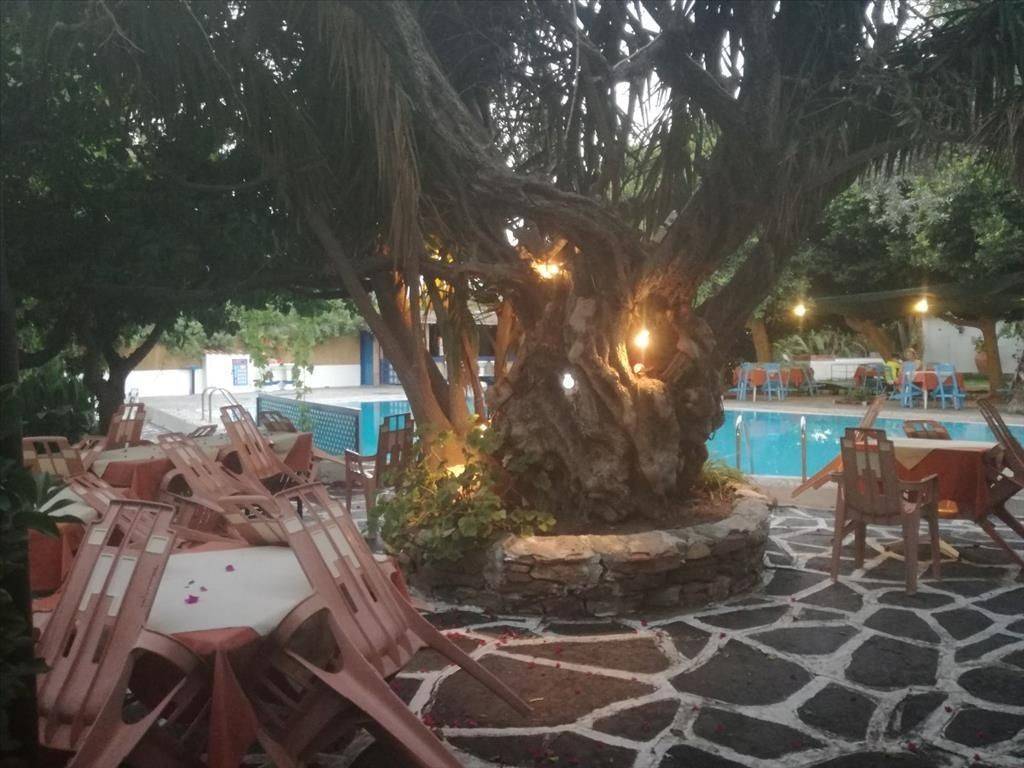 Hotel - Grekodom 25707|339449