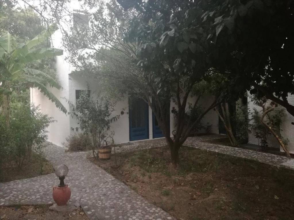 Hotel - Grekodom 25707|339448