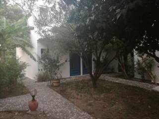 Hotel - Grekodom 25707|339448