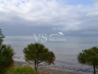 Άποψη οικοπέδου