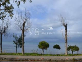 Άποψη οικοπέδου