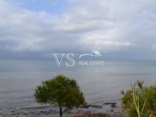 Άποψη οικοπέδου