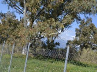 άποψη οικοπέδου