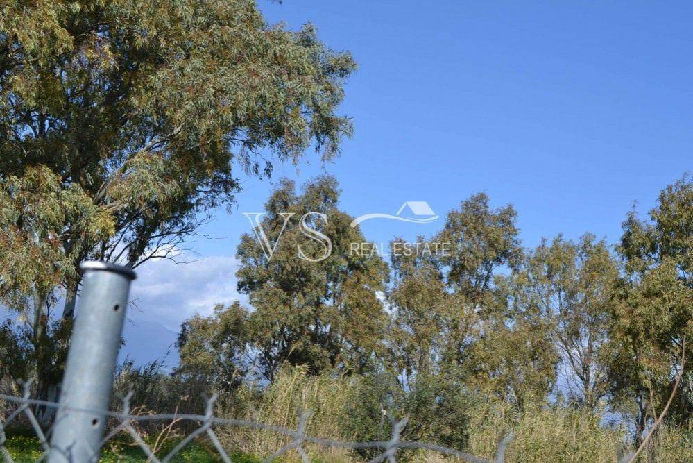 άποψη οικοπέδου