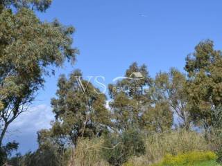 άποψη οικοπέδου