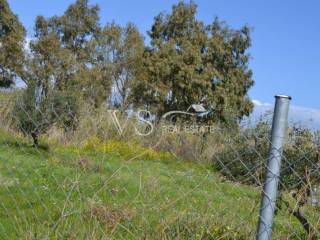 άποψη οικοπέδου