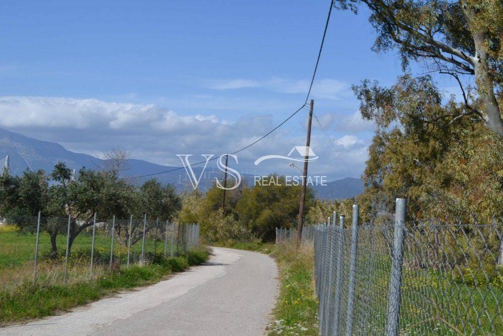 άποψη οικοπέδου