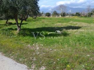 άποψη οικοπέδου