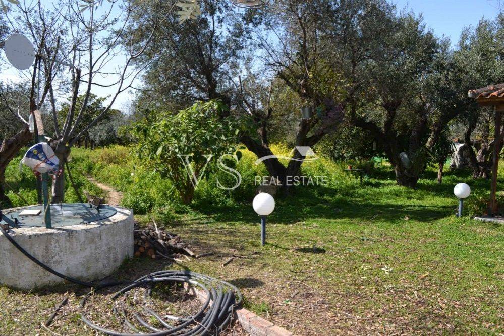 άποψη οικοπέδου